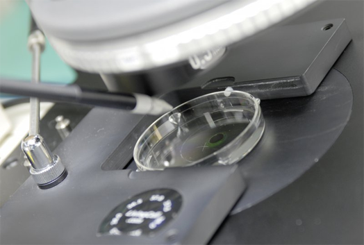 Mikroskop-Untersuchung in einem IVF-Labor.